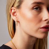 "Noura" Yellow Gold Earrings with Natural Rose Quartz