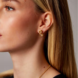 "Satta" Yellow Gold Earrings with Natural Rose Quartz